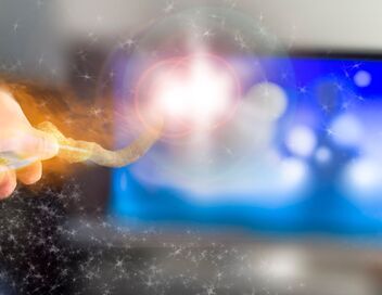 Croquette, le chat merveilleux