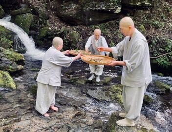 Temple Food, l'âme de la cuisine coréenne