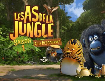 Les as de la jungle à la rescousse