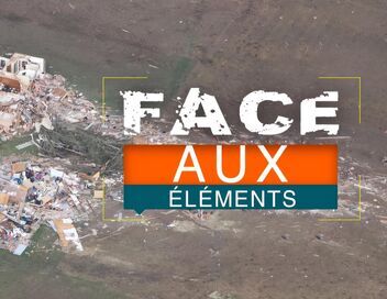 Face aux éléments