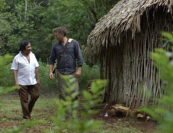 Médecines d'ailleurs