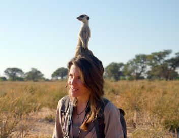 Les génies de la nature