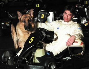 Rex, chien flic