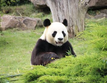 Parc de Cerza, au plus près des animaux