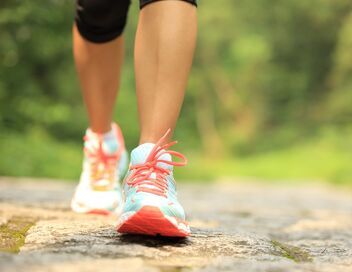 Trail : Ultra-Trail du Mont-Blanc