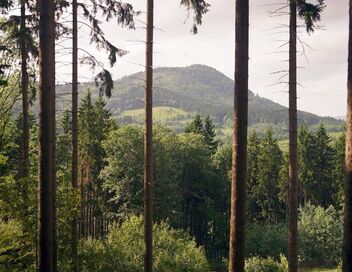 Invitation au voyage