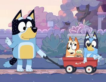 Bluey