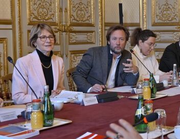 Assemblée nationale, anatomie d'une crise