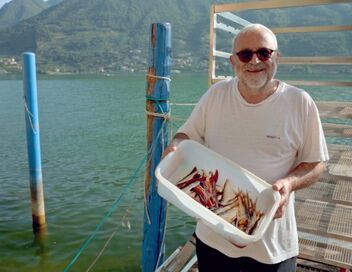 Les îles italiennes