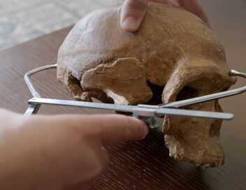 Homo sapiens, les nouvelles origines