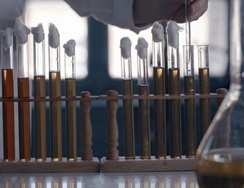 Pasteur et Koch : Un duel de géants dans le monde des microbes