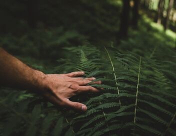 Retour à l'instinct primaire