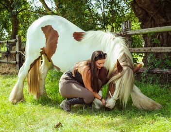 Au galop ! Une saison à cheval
