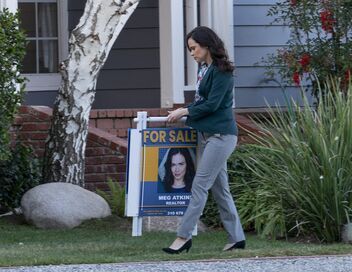 Maison à vendre, mari à voler