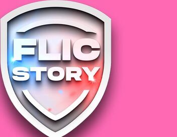 Flic story