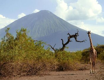 Des volcans et des hommes