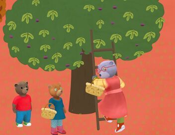 Petit Ours Brun