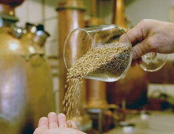 Les sanctuaires d'épices