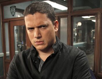 New York Unité Spéciale