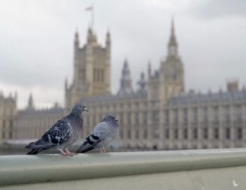 Brexit Blues : Cinq ans après la sortie de l'UE