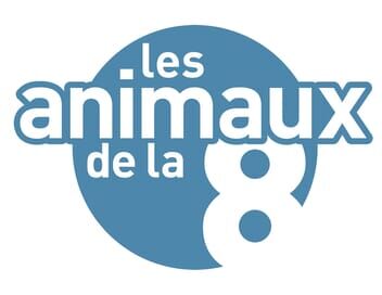 Les animaux de la 8