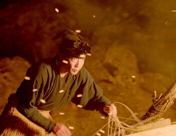 Au Japon, la pêche au cormoran : Une tradition millénaire
