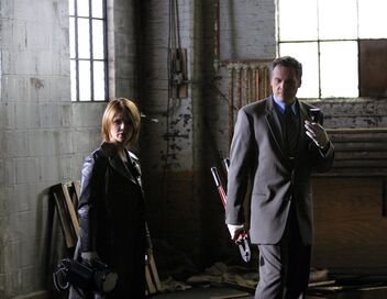 New York, section criminelle