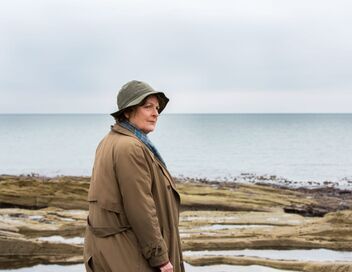 Les enquêtes de Vera