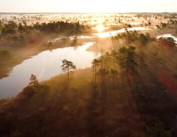 Des mains vertes pour la nature