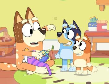 Bluey