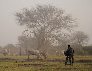 Sur la piste du dernier rhinocéros blanc