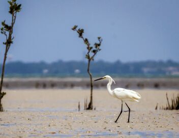 Kimberley, le Grand Ouest sauvage australien
