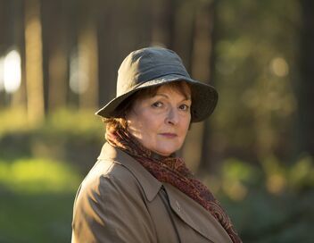 Les enquêtes de Vera