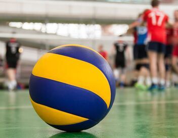 Volley-ball : Championnat du monde