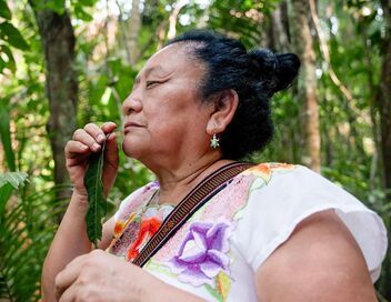 Le Belize, terre des Mayas