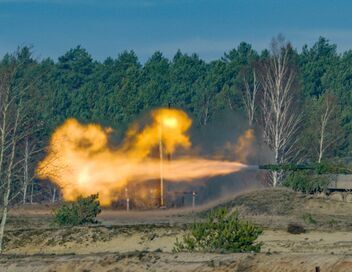 Le cerf élaphe, roi des forêts ?