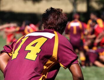 Rugby à 7 : Seven Nations Series