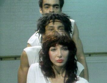 L'odyssée musicale de Kate Bush
