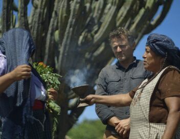 Médecines d'ailleurs