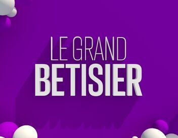 Le grand bêtisier
