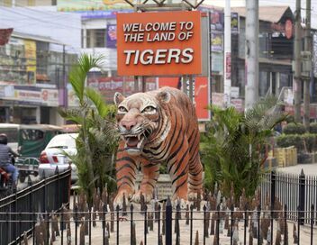 Sundarbans, le dernier royaume du tigre