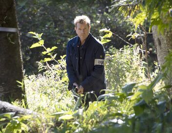 Section de recherches