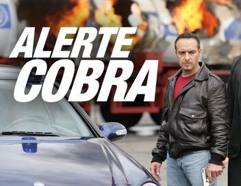 Alerte Cobra