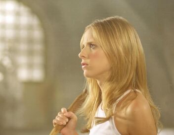 Buffy contre les vampires