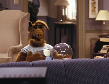 Alf