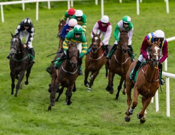 Courses hippiques : Prix de Cornullier