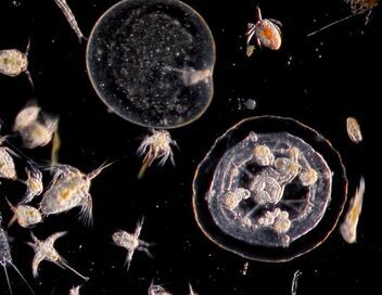 Océans, le mystère plastique