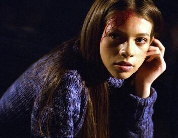 Buffy contre les vampires