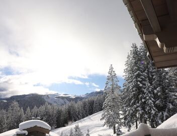 Les reines de la route