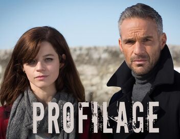 Profilage
